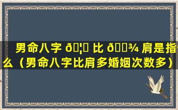 男命八字 🦍 比 🌾 肩是指什么（男命八字比肩多婚姻次数多）